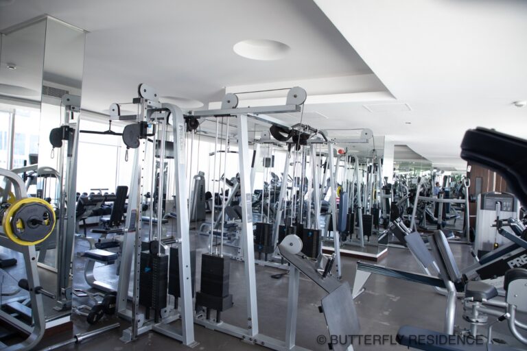 Gym 3